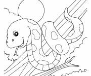 Coloriage B&eacute;b&eacute; serpent souriant