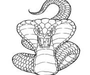 Coloriage cobra dangereux