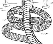 Coloriage Cobra de desert am&eacute;ricain