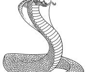 Coloriage Cobra m&eacute;chante &agrave; &eacute;cailles