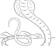 Coloriage Cobra mignon