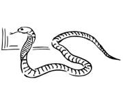 Coloriage Cobra rampant