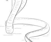 Coloriage Cobra royal &agrave; impri