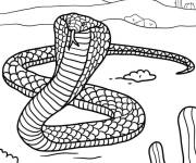 Coloriage Cobra serpent royal