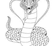 Coloriage Cobra venimeux