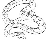 Coloriage Corps fusiforme
