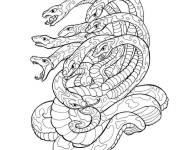 Coloriage Des serpents siffleurs mythique