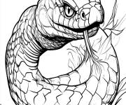 Coloriage Enorme serpents effrayant sur un arbre