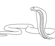 Coloriage Gros cobra