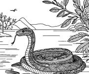 Coloriage Illustration Anaconda dans la rivi&egrave;re