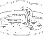 Coloriage Image Roi cobra