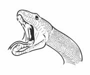 Coloriage L'attaque mortel du serpent python