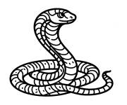 Coloriage Le roi Cobra maternelle cp