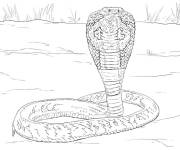 Coloriage Le serpent populaire