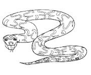 Coloriage Le venin de serpent