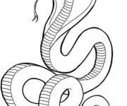 Coloriage Longue Cobra