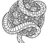 Coloriage Mandala serpent difficile