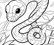 Coloriage Photo de petit serpent