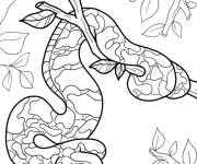 Coloriage Python suspendu &agrave; un arbre