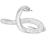 Coloriage Serpent &agrave; &eacute;tudier