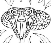 Coloriage Serpent &agrave; l'air f&eacute;roce