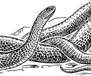 Coloriage Serpent à sonnette en noir