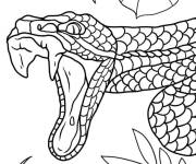 Coloriage Serpent attaquant une proie