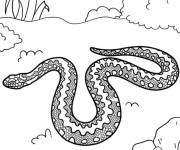 Coloriage Serpent aux &eacute;cailles d&eacute;taill&eacute;es