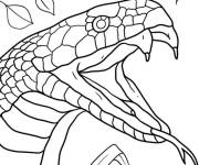 Coloriage Serpent avec ses crocs sortis