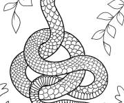 Coloriage Serpent brun venimeux