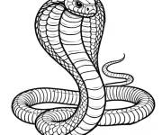 Coloriage Serpent Cobra aux yeux m&eacute;chants