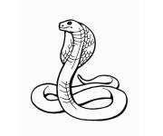 Coloriage Serpent cobra en ligne