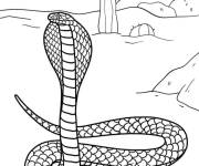 Coloriage Serpent cobra indien