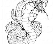 Coloriage Serpent cobra m&eacute;chant