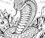 Coloriage Serpent Cobra royal pour adulte