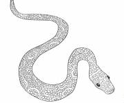 Coloriage Serpent colori&eacute; aimable