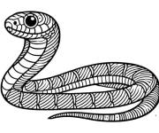 Coloriage serpent corail