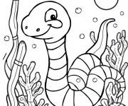 Coloriage Serpent corail maternelle