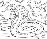 Coloriage Serpent dangereux dans la foret