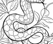 Coloriage Serpent dans l'arbre pour maternelle
