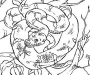 Coloriage Serpent dans la jungle
