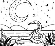 Coloriage Serpent dans le desert pendant la nuit