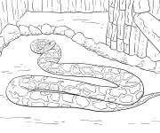 Coloriage Serpent dans le zoo