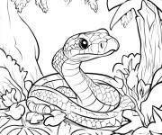 Coloriage Serpent dans son nid