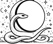 Coloriage Serpent dans une nuit &eacute;toil&eacute;e
