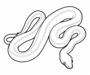 Coloriage Serpent de desert