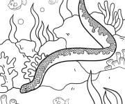 Coloriage Serpent de mer dans l'eau