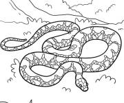 Coloriage Serpent des mangroves