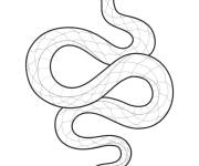 Coloriage Serpent en trait