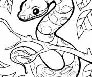 Coloriage Serpent entre les feuilles